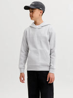 Charger l'image dans la galerie, Sweat à capuche
