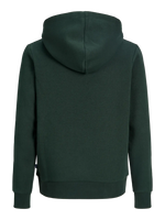 Charger l'image dans la galerie, Sweat logoté à capuche
