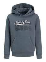 Charger l'image dans la galerie, Sweat à capuche logoté
